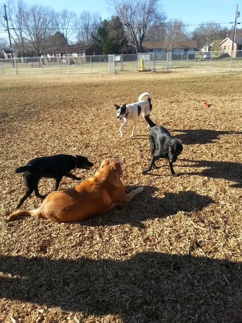 Mount Juliet Bark Park