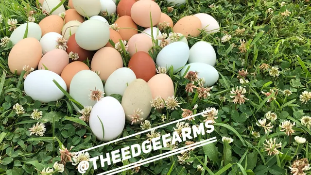 The Edge Farms