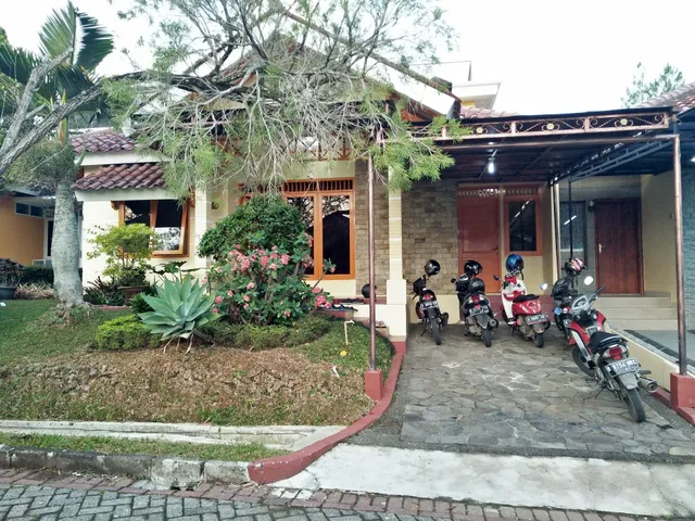 vila kota bunga Praha (galerycantik)