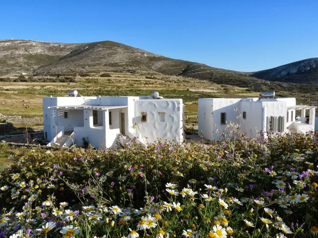 LITHIA - VILLAS & POOL