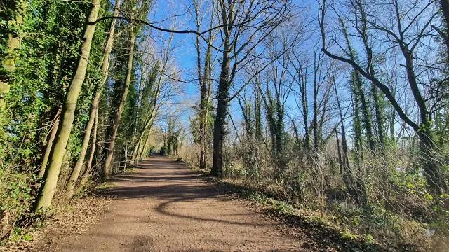 The Gainsborough Trail: Meadow Walk