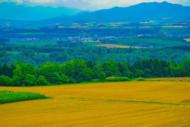 Aussichtsturm Wiesen-Lanzenkirchen