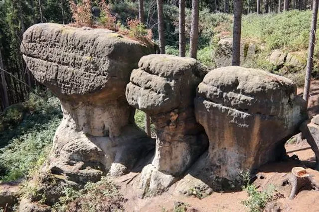 Nature reserve Boulders Dwarfs