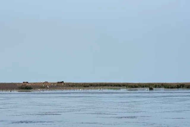 دهستان بنفش تپه