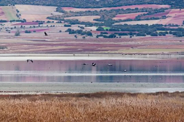 Laguna de Gallocanta