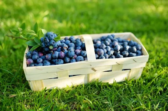 Lake Louise State Park