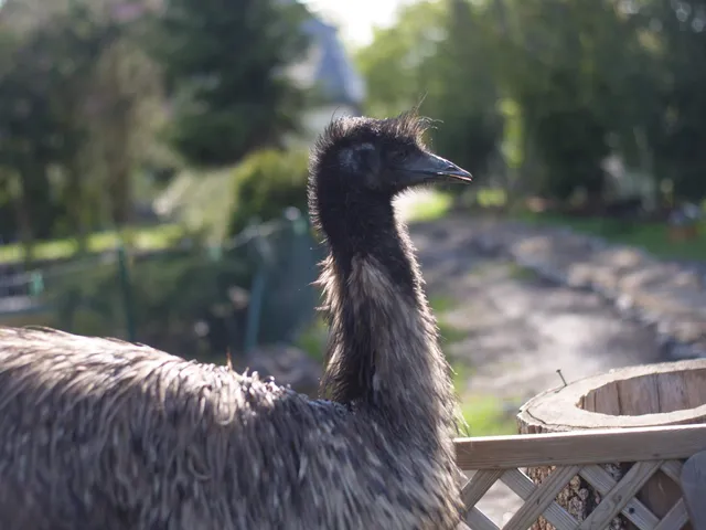 Zwierzaki Nad Potokiem Mini ZOO