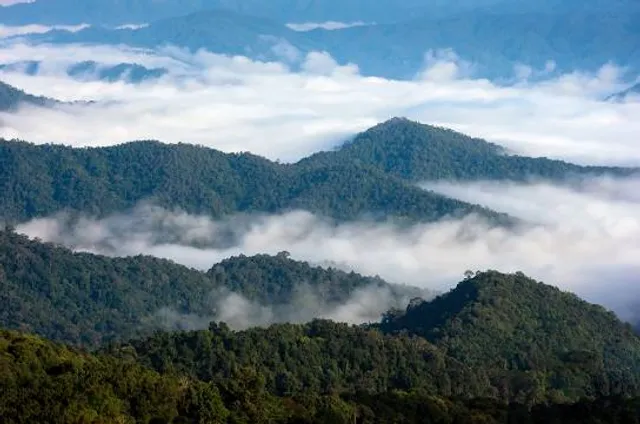 Doi Mon Ngo Summit Viewpoint