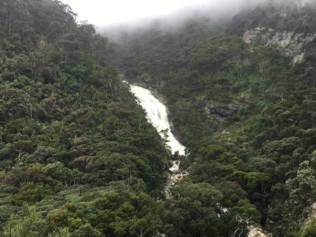 Carisbrook Falls