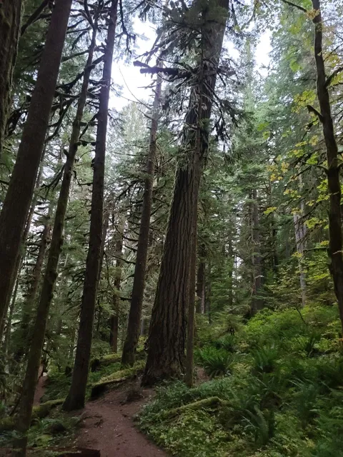Salmon Butte Trailhead