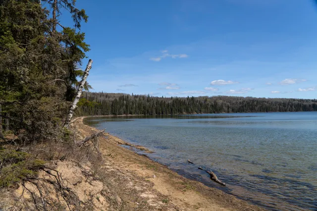 Narrows Peninsula Trail