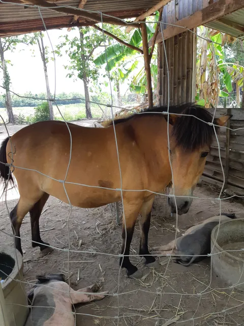 ไร่ธันตะชา ไร่อภัยทาน