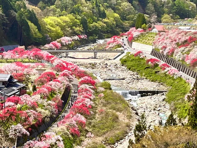 Hanamomo-no-Sato Peach Blossom Village