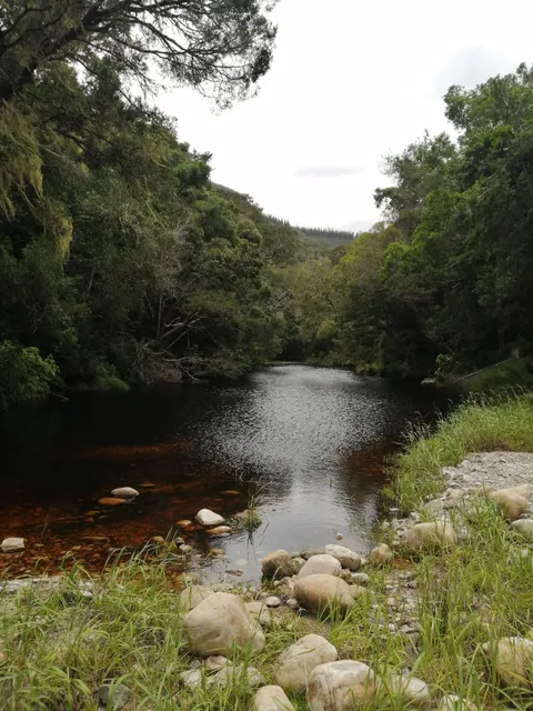 Tsitsikamma Mountain Trail