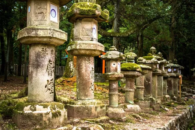 Manyo Botanical Gardens