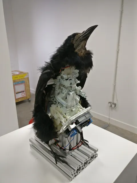 photo-3