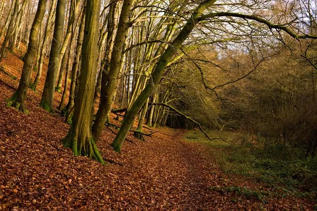 Naafbachtal Nature Reserve