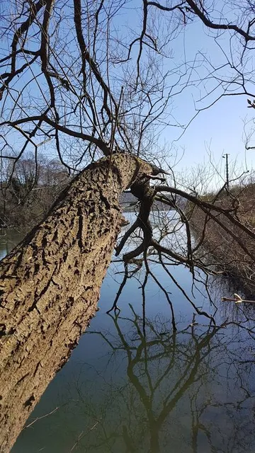 Emmenegger Nature Park