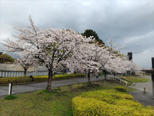 2nd anti-flood pond of Takinuma River