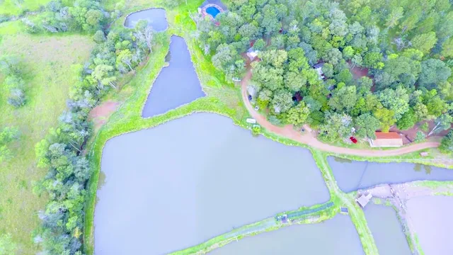 Municipio de Capioví