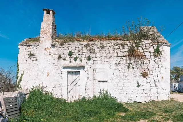 Mosteiro de Santa Maria das Júnias