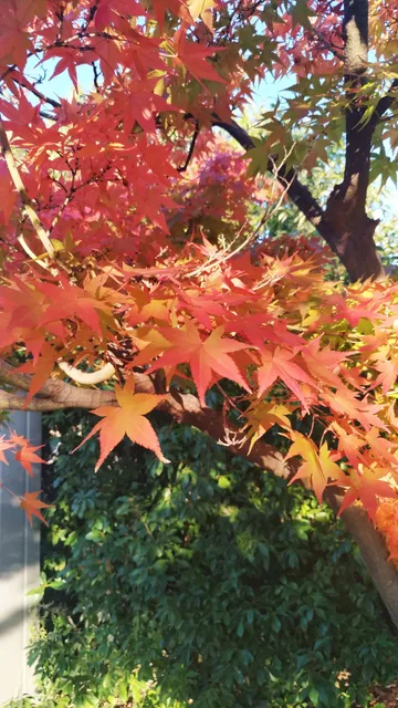 photo-2