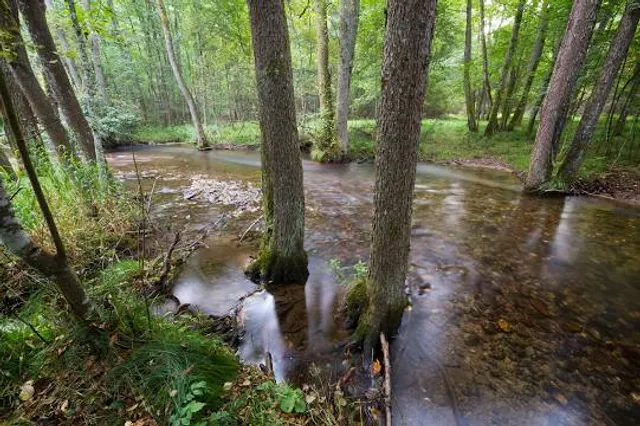 Área recreativa Los Asientos