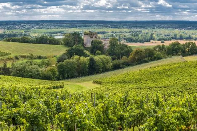 Château de Langoiran