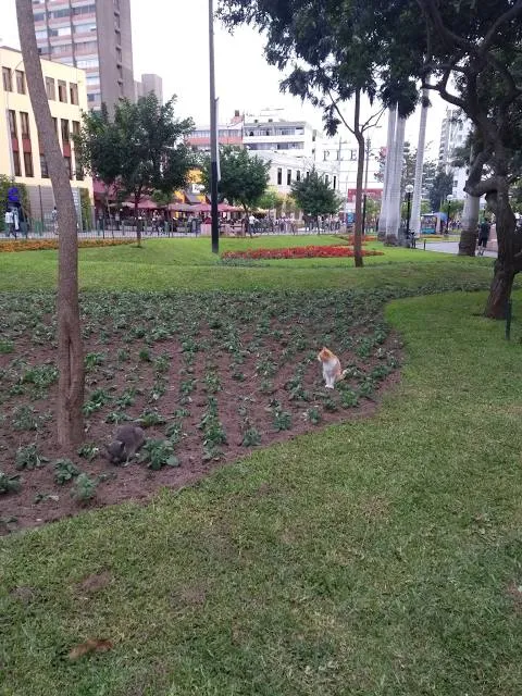 photo-3