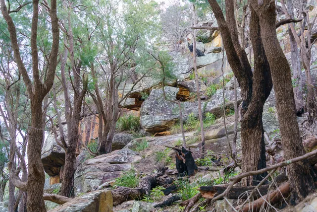 Aboriginal Heritage walk