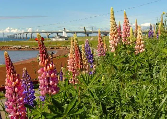 Port Borden Front Range Lighthouse