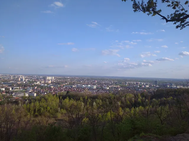 Forest Park Grmoščica