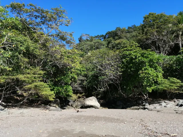 Reserva Natural Absoluta Nicolas Wessberg