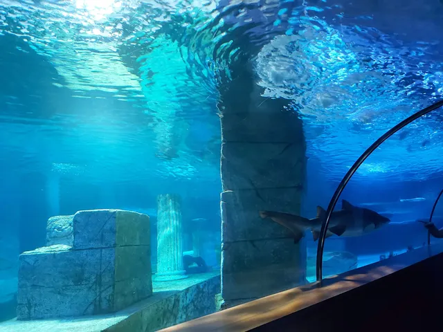 Aqua Vega Aquarium