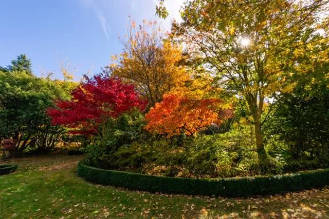 Forest Glade Gardens