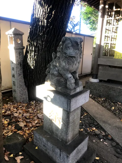 photo-2