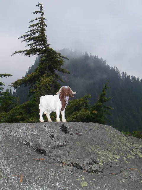 Little Goat Mountain
