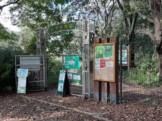 Nature Observation Garden
