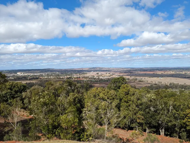 Mount Wooroolin Lookout