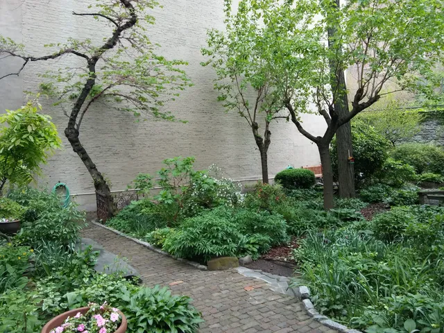 Albert's Garden