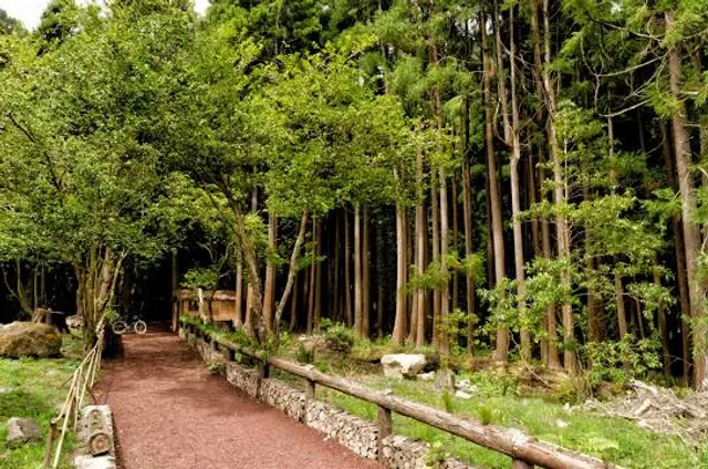 Parque da Grená