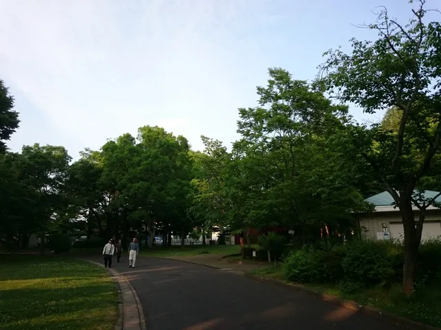 Wakasato Park