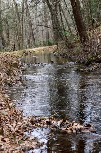 Caledonia State Park