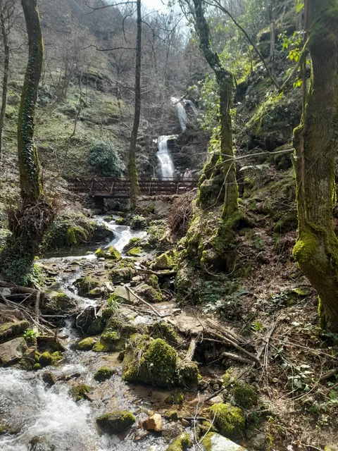 Gabrovo Waterfalls