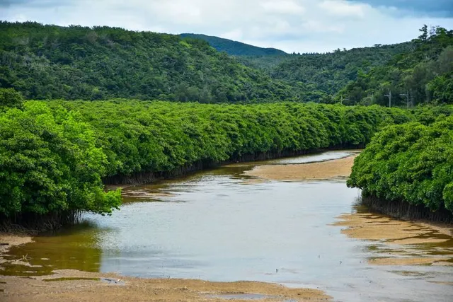 Higashi-son Fureai Hirugi Park