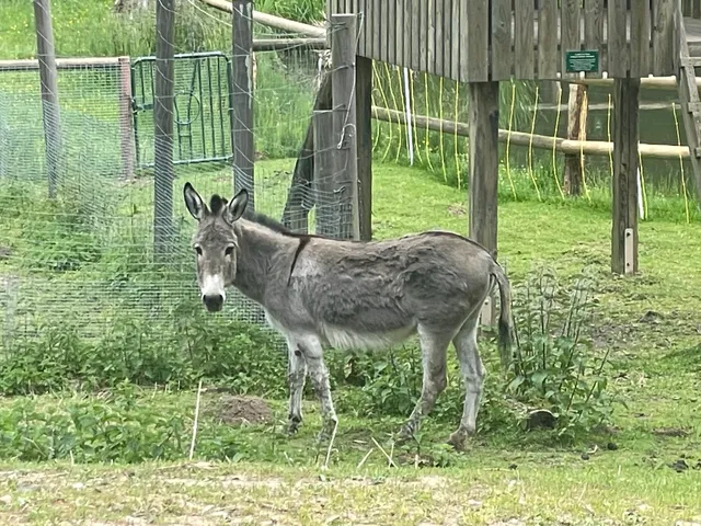 Wildpark Hardegsen