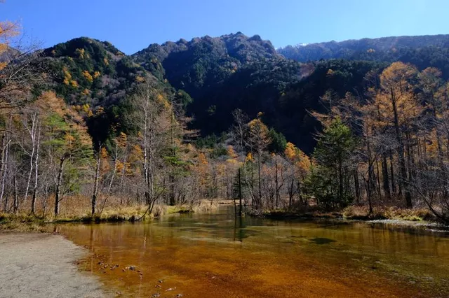 Tashiro Pond