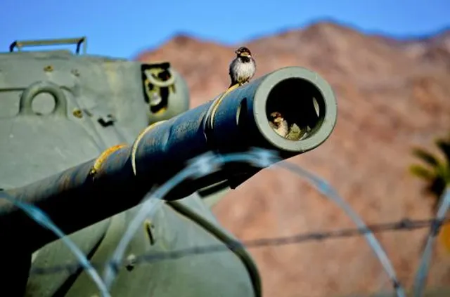 General Patton Memorial Museum