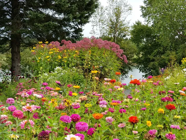 Charlotte Rhoades Butterfly Park