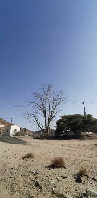 الوهط والوهيط